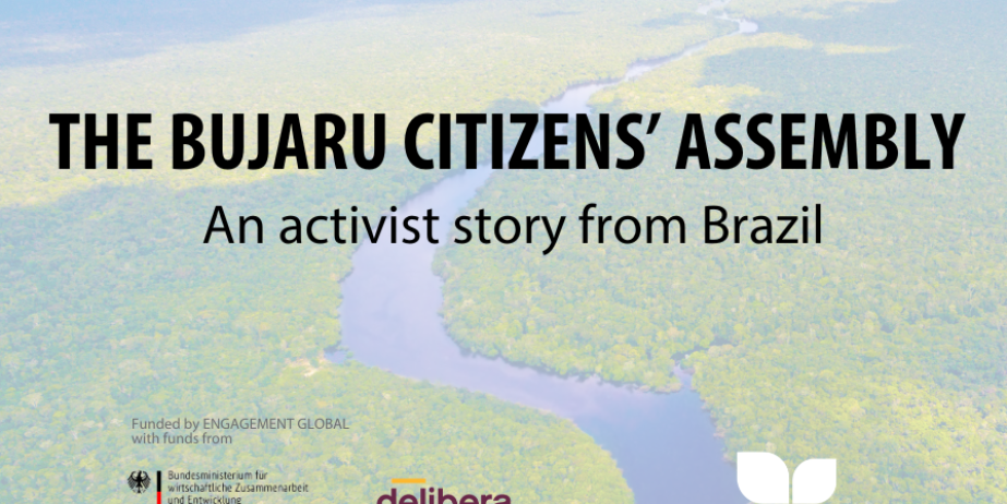 Image Bujaro Citizens Assembly - Copyright notice Democracy International Canva Pro Account